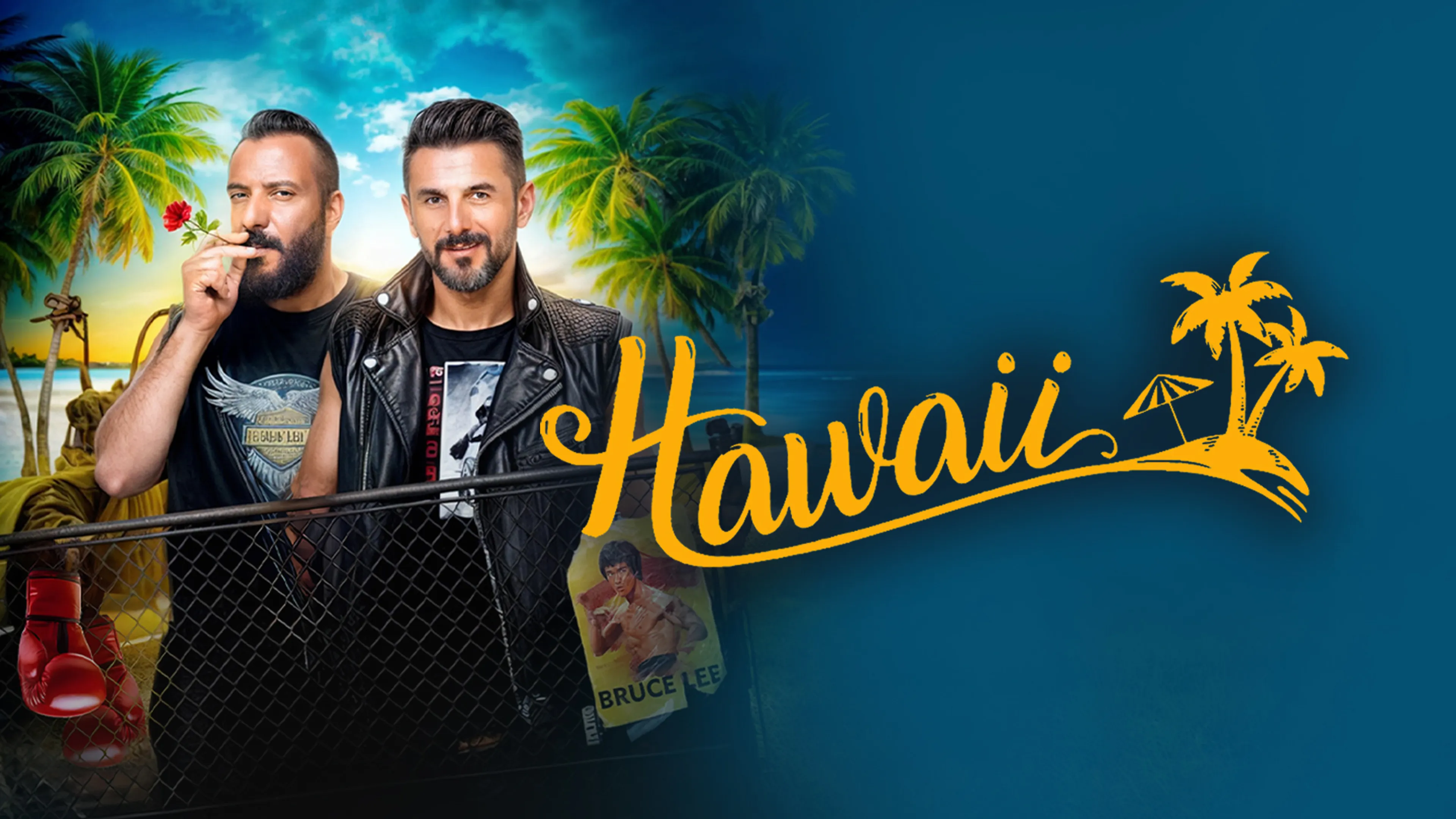 Hawaii poster